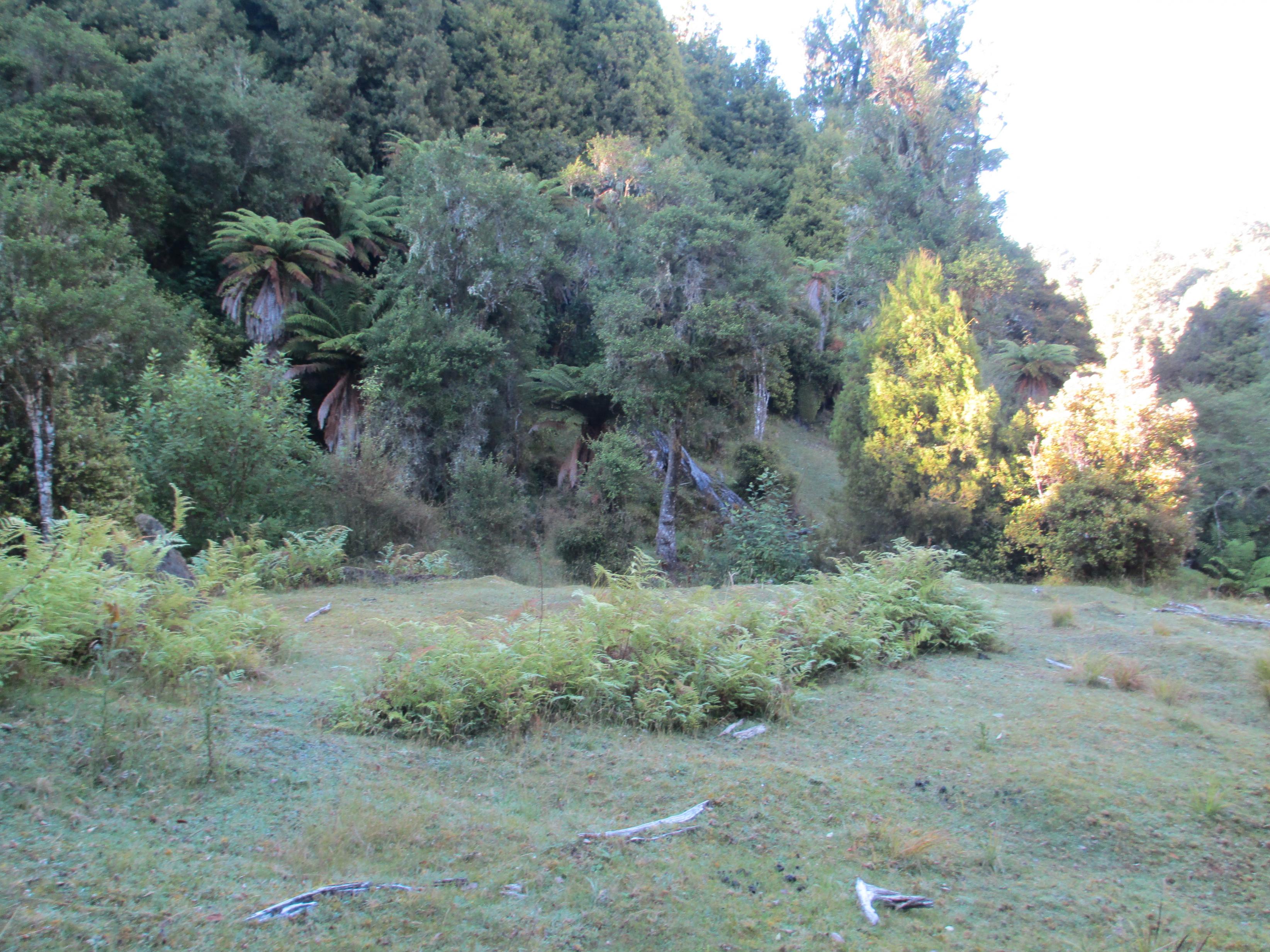 Name:  IMG_0757 (2).jpg
Views: 453
Size:  1.07 MB