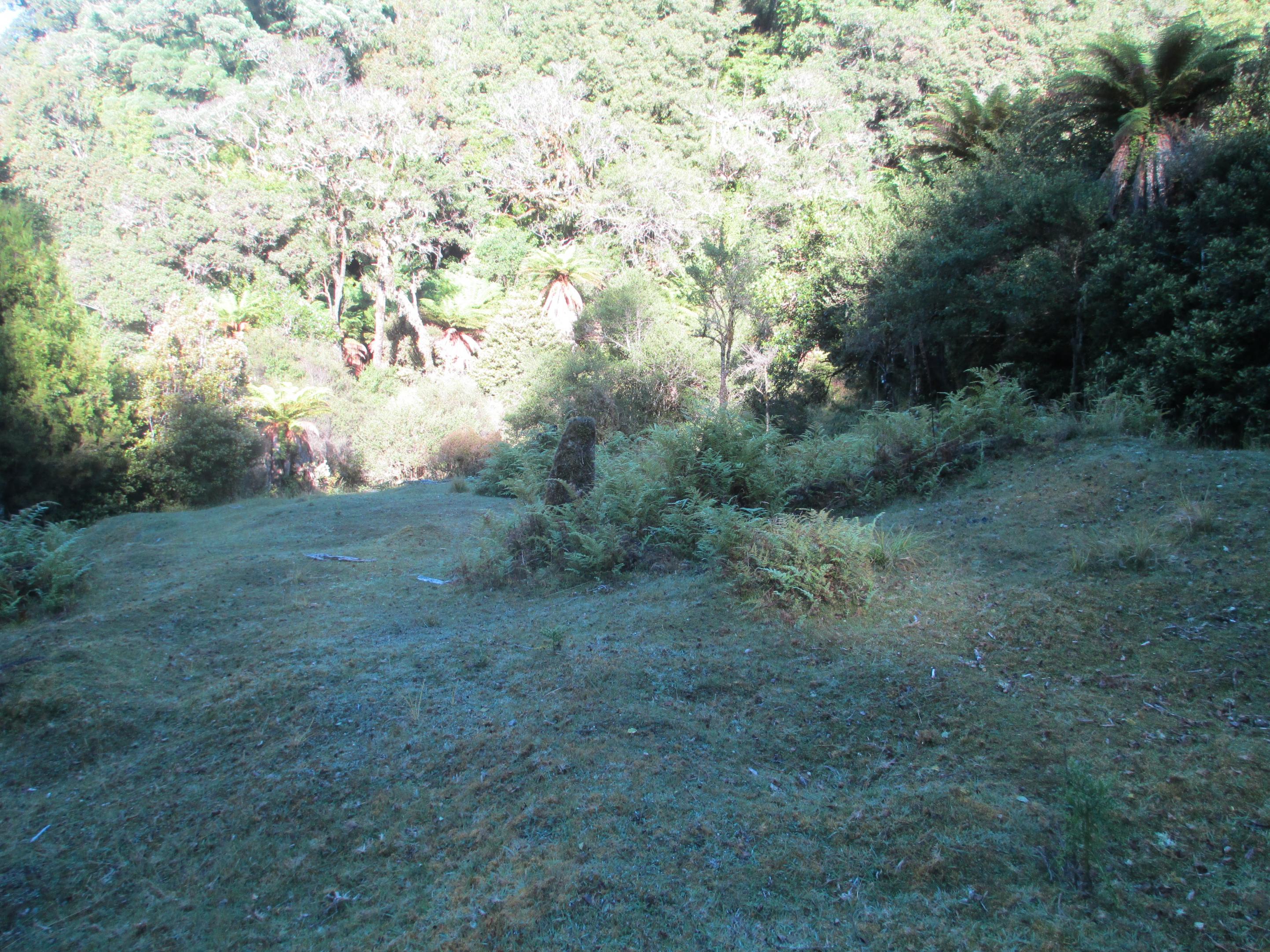 Name:  IMG_0758 (2).jpg
Views: 430
Size:  1.12 MB