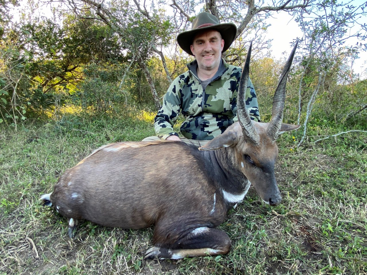 Name:  bushbuck_1280x960.jpg
Views: 686
Size:  544.7 KB