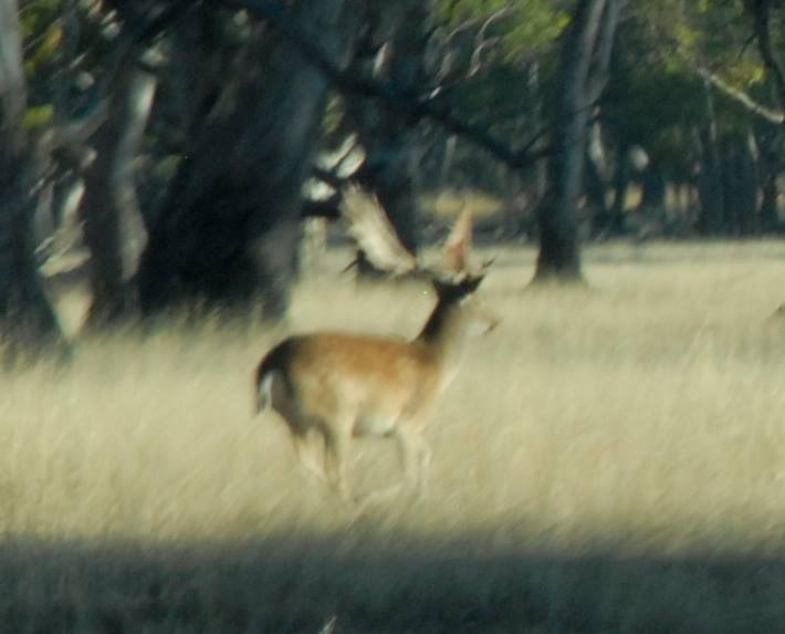 Name:  running.jpg
Views: 447
Size:  30.6 KB