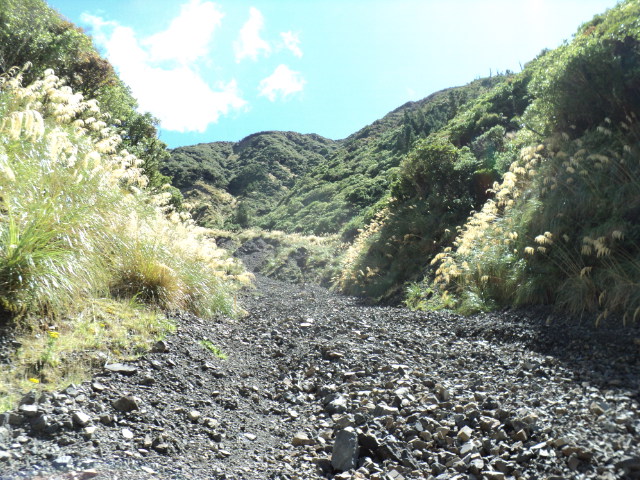 Name:  picture 3177.jpg
Views: 398
Size:  165.2 KB