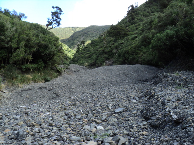 Name:  picture 3176.jpg
Views: 398
Size:  164.4 KB