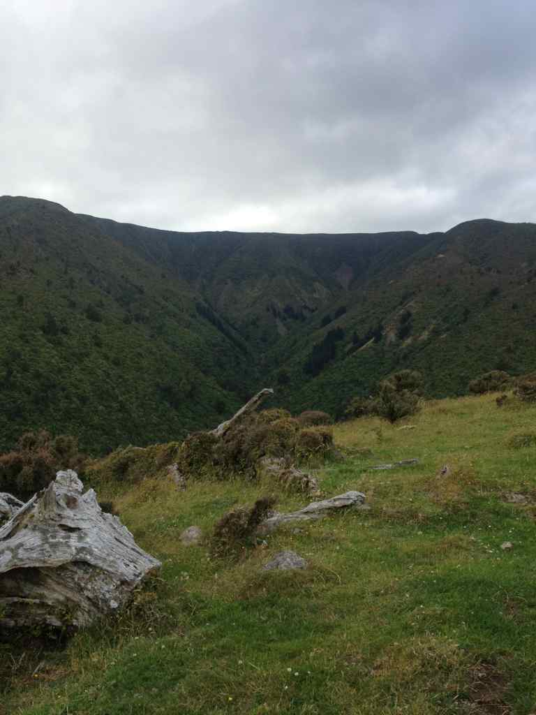 Name:  ImageUploadedByTapatalk1393745158.706823.jpg
Views: 614
Size:  52.7 KB