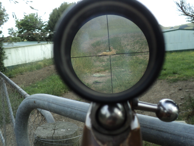 Name:  picture 7441.jpg
Views: 299
Size:  162.6 KB