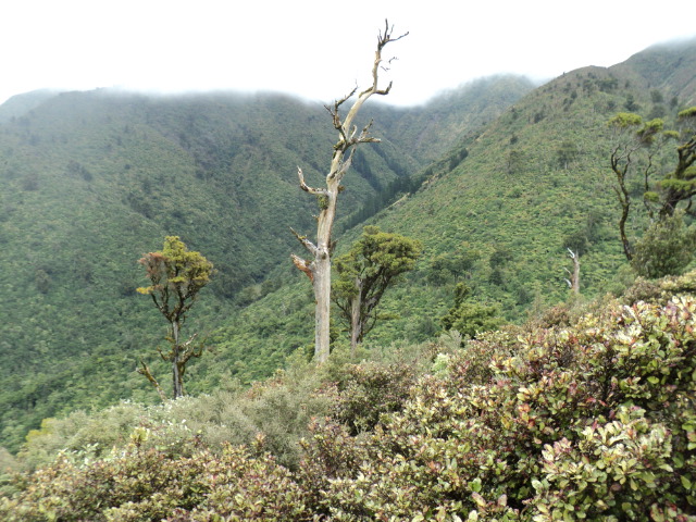 Name:  picture 3213.jpg
Views: 323
Size:  164.5 KB