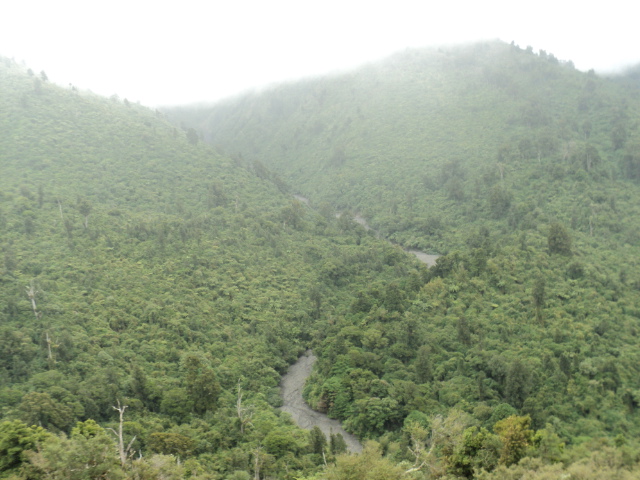 Name:  picture 3217.jpg
Views: 308
Size:  165.2 KB
