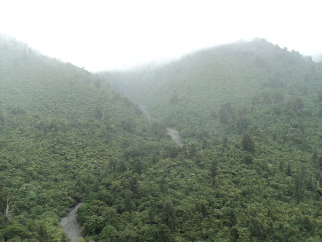 Name:  picture 3218.jpg
Views: 316
Size:  164.2 KB
