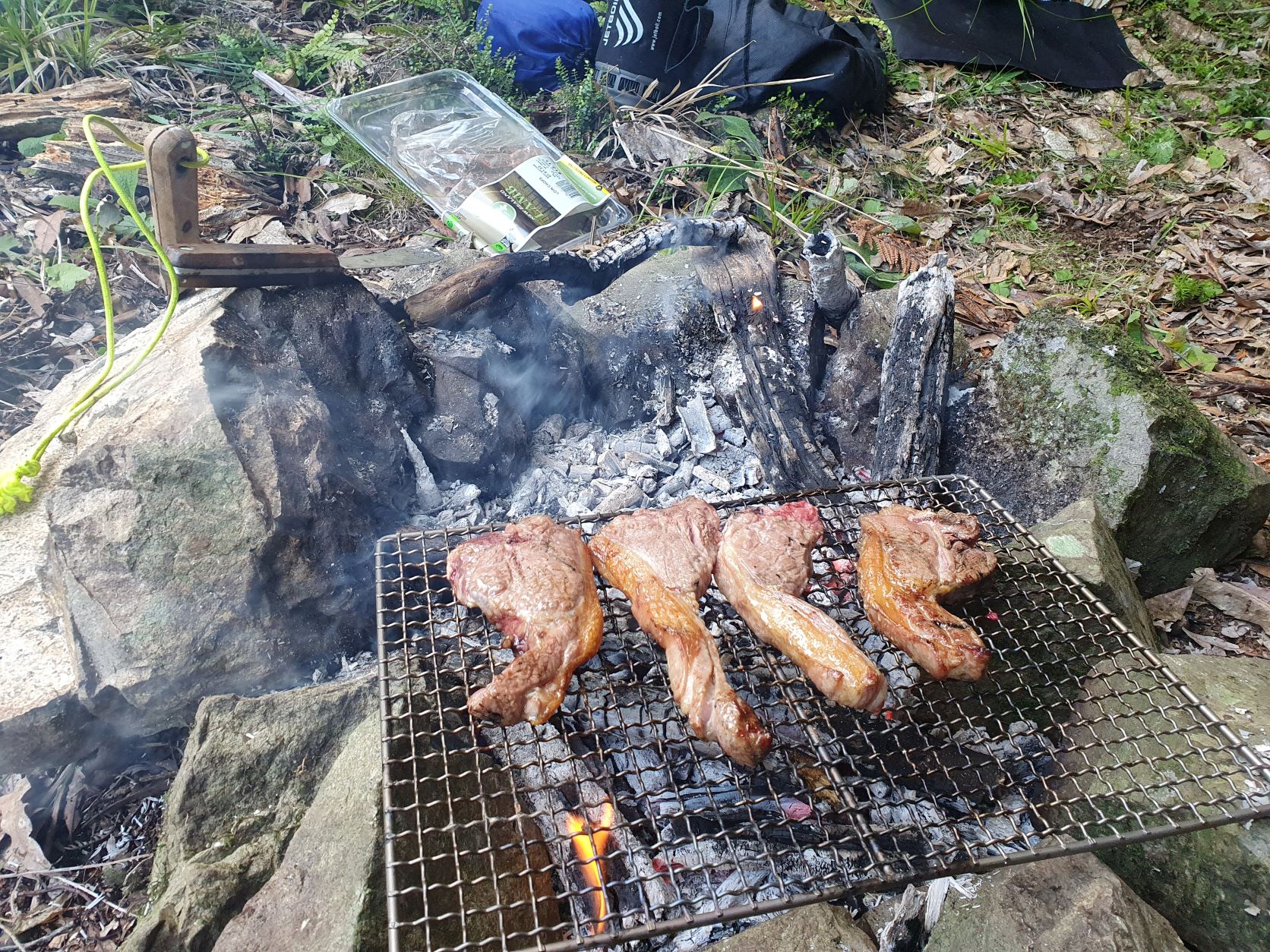 Name:  lamb chops day one.jpg
Views: 744
Size:  731.8 KB