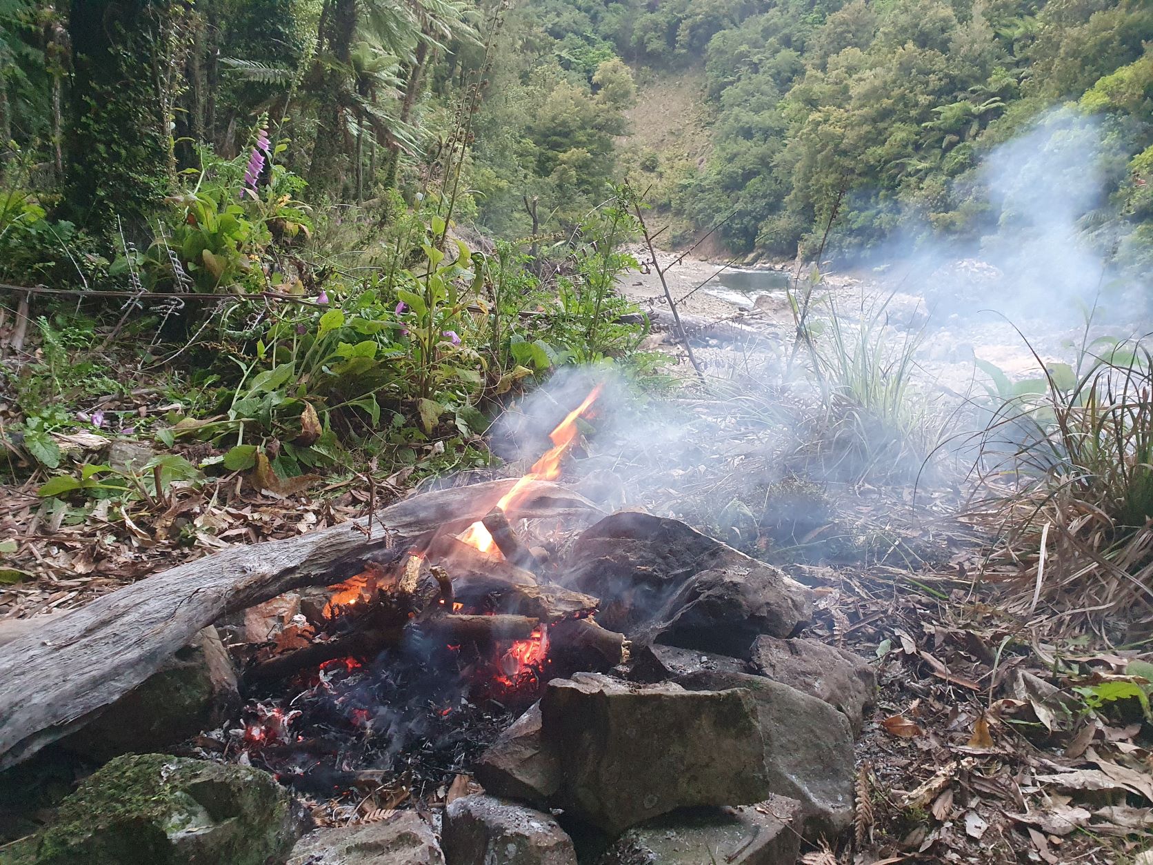 Name:  fire day one.jpg
Views: 736
Size:  597.1 KB