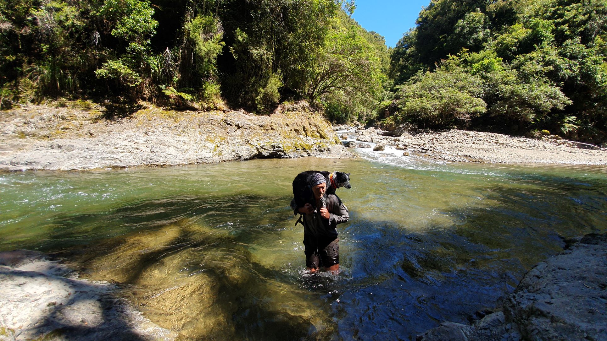 Name:  dog over river day 2.jpg
Views: 646
Size:  604.7 KB