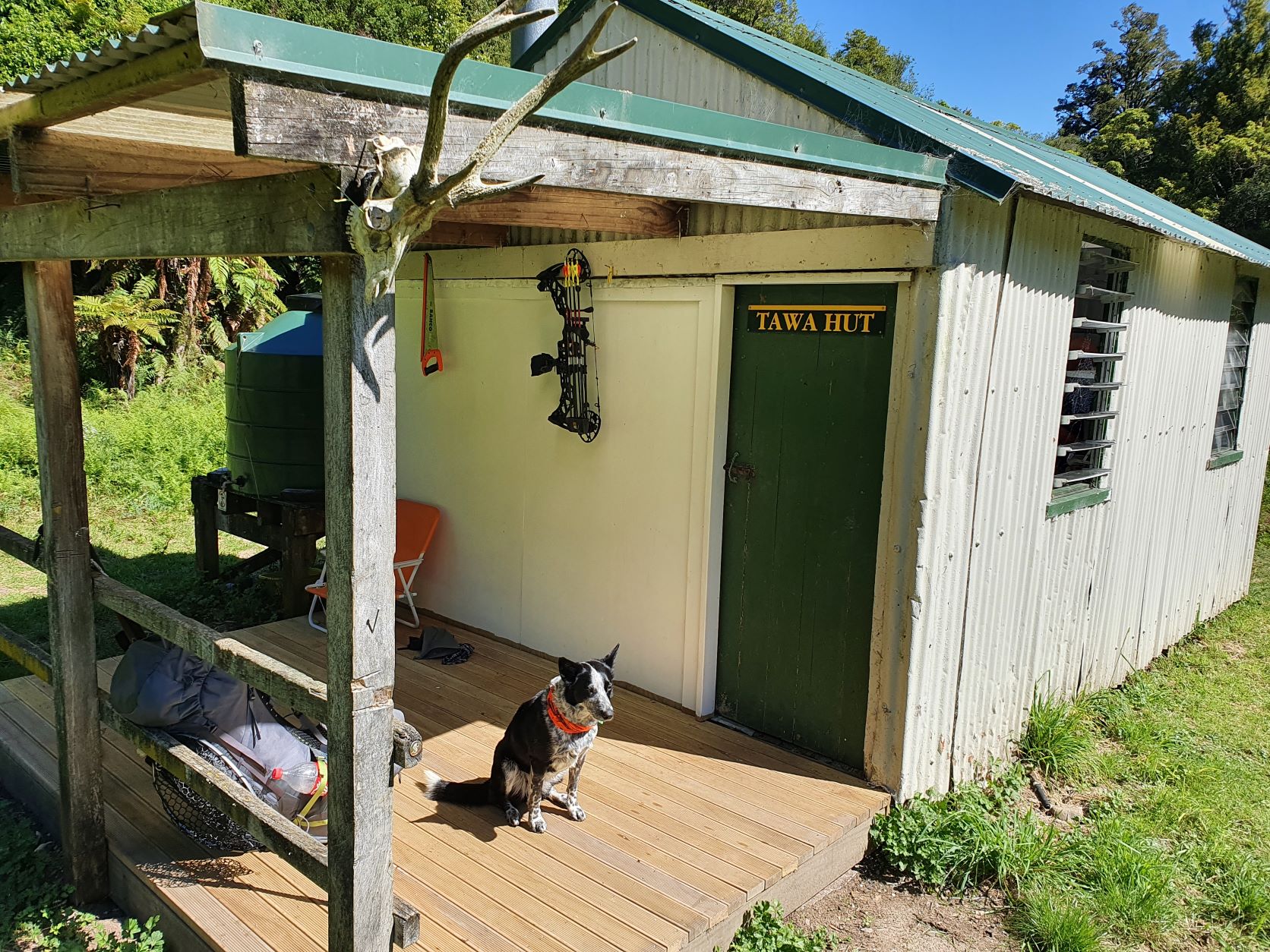 Name:  tawa hut day 2.jpg
Views: 651
Size:  540.8 KB