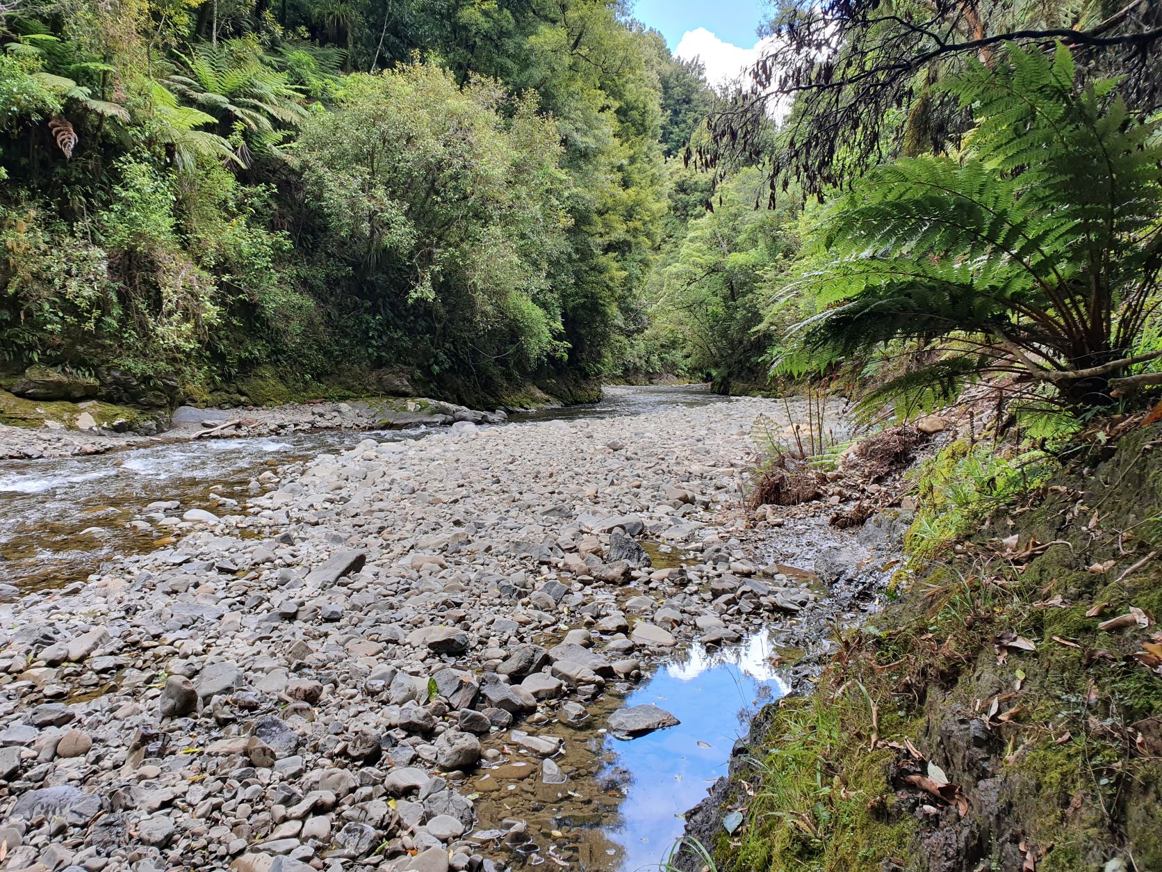 Name:  side creek bliss day three.jpg
Views: 581
Size:  788.8 KB