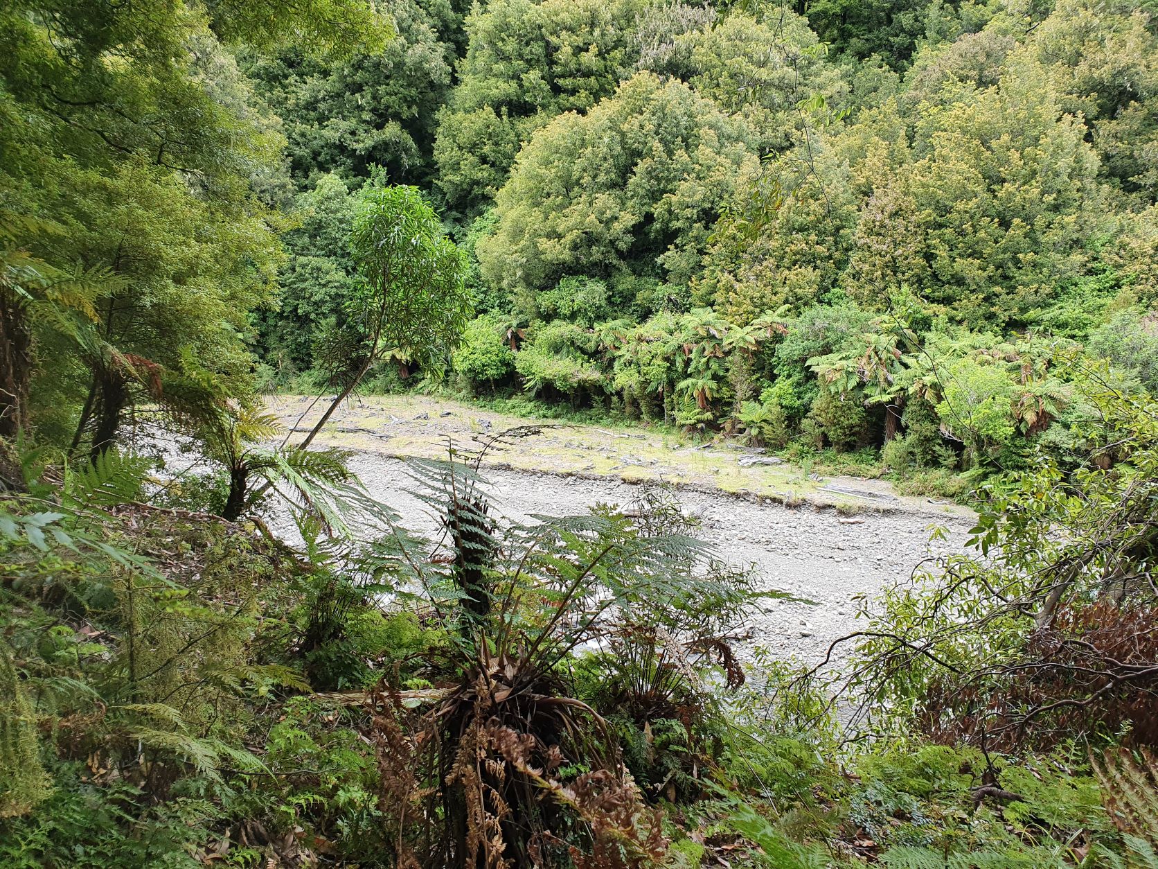 Name:  river flats day three.jpg
Views: 569
Size:  901.5 KB