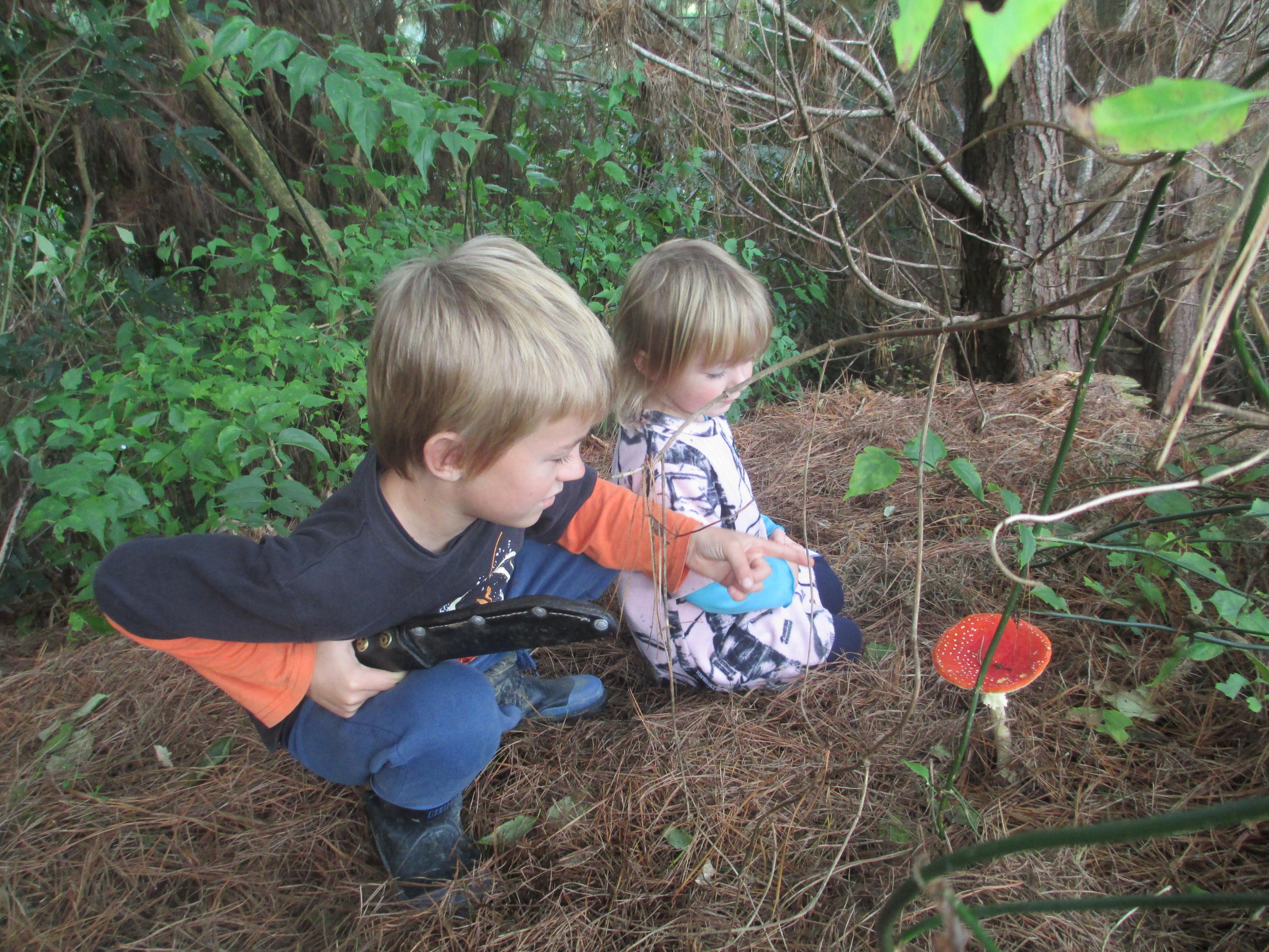 Name:  Kids. (2).jpg
Views: 478
Size:  1.08 MB