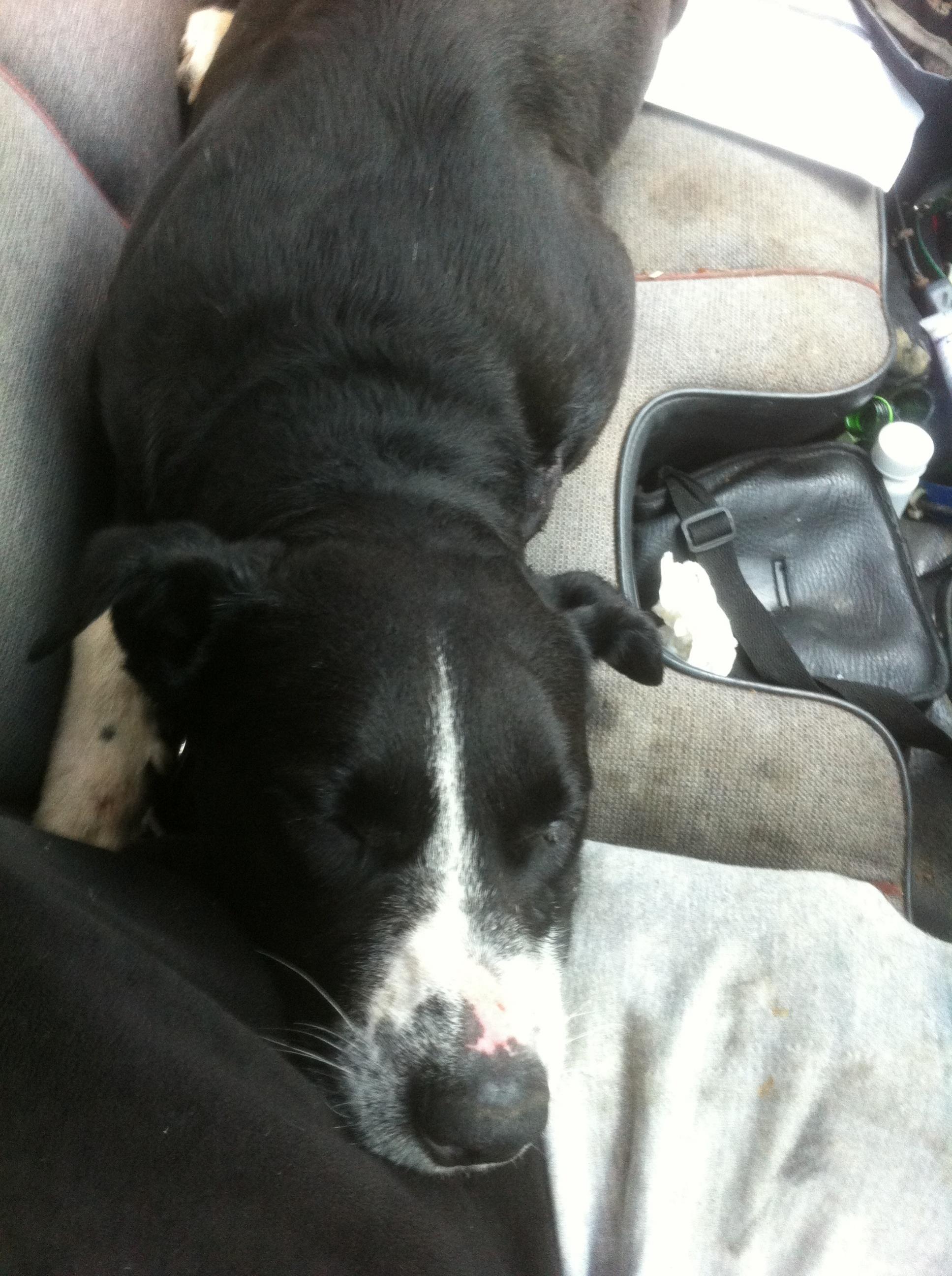 Name:  Axesleep.jpg
Views: 422
Size:  565.2 KB