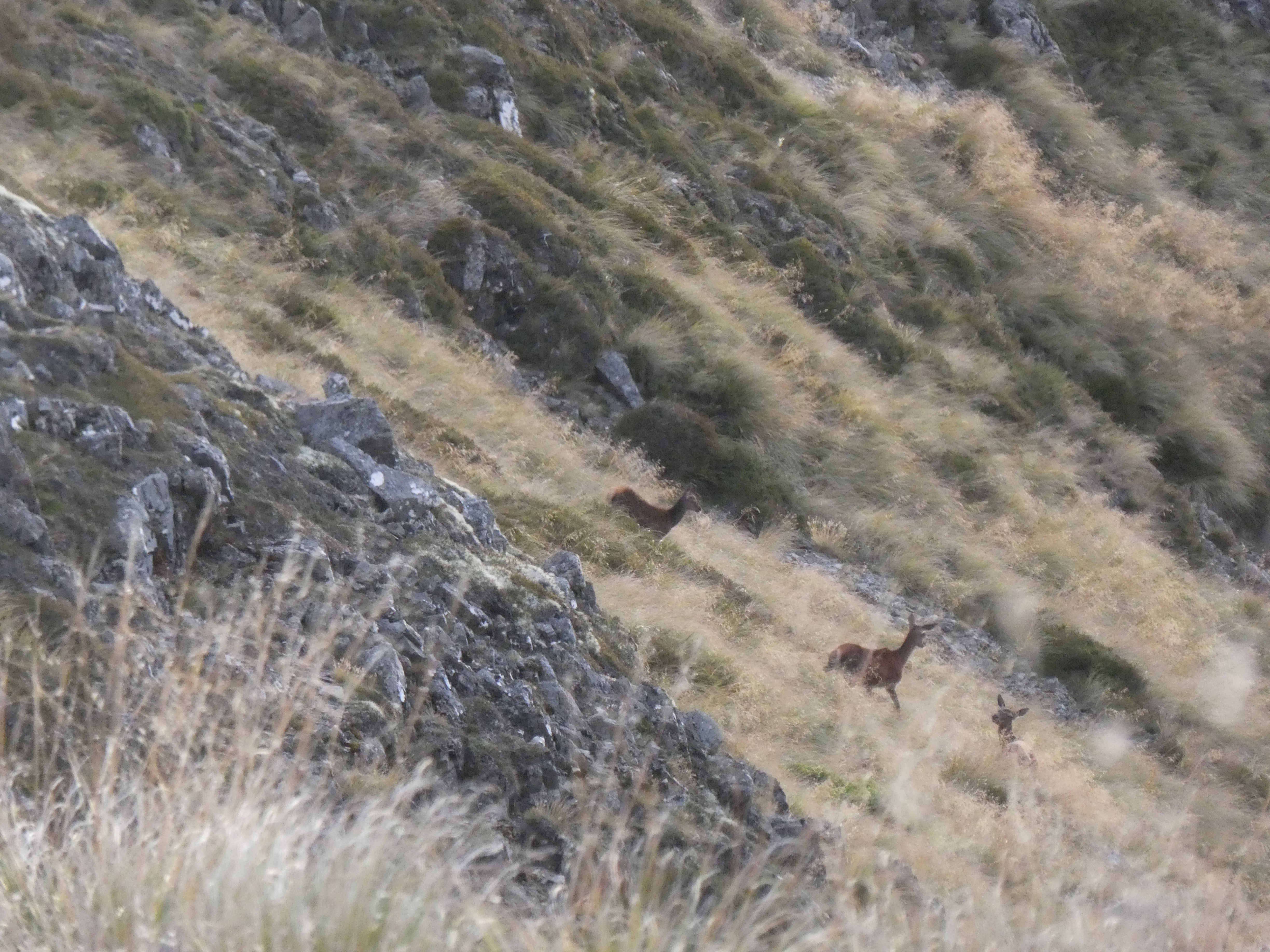 Name:  P1030477.JPG
Views: 750
Size:  9.11 MB