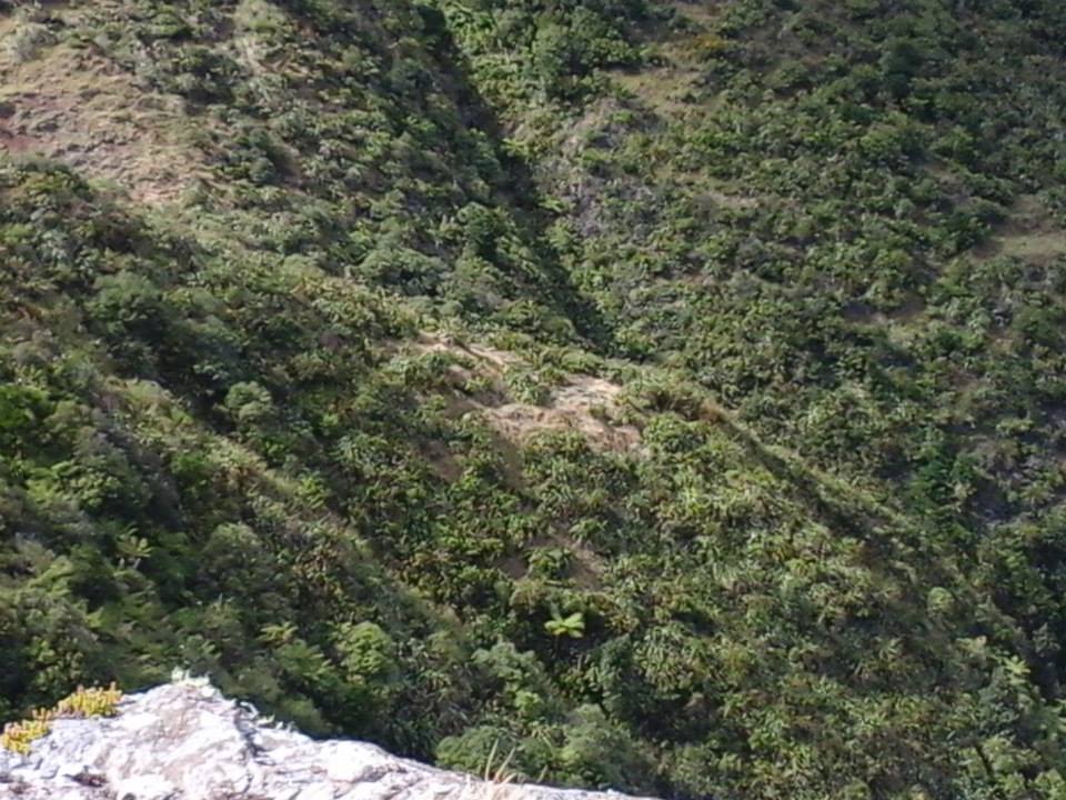 Name:  1958098_741472712550212_1234321497_n.jpg
Views: 407
Size:  122.4 KB