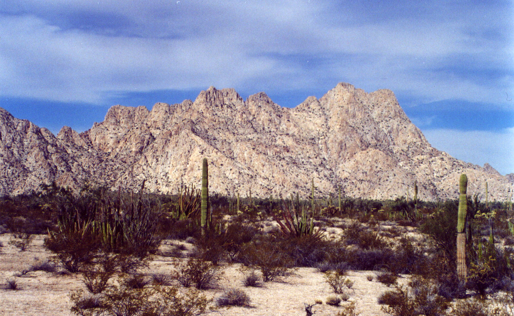 Name:  SheepMtn.jpg
Views: 12480
Size:  604.8 KB