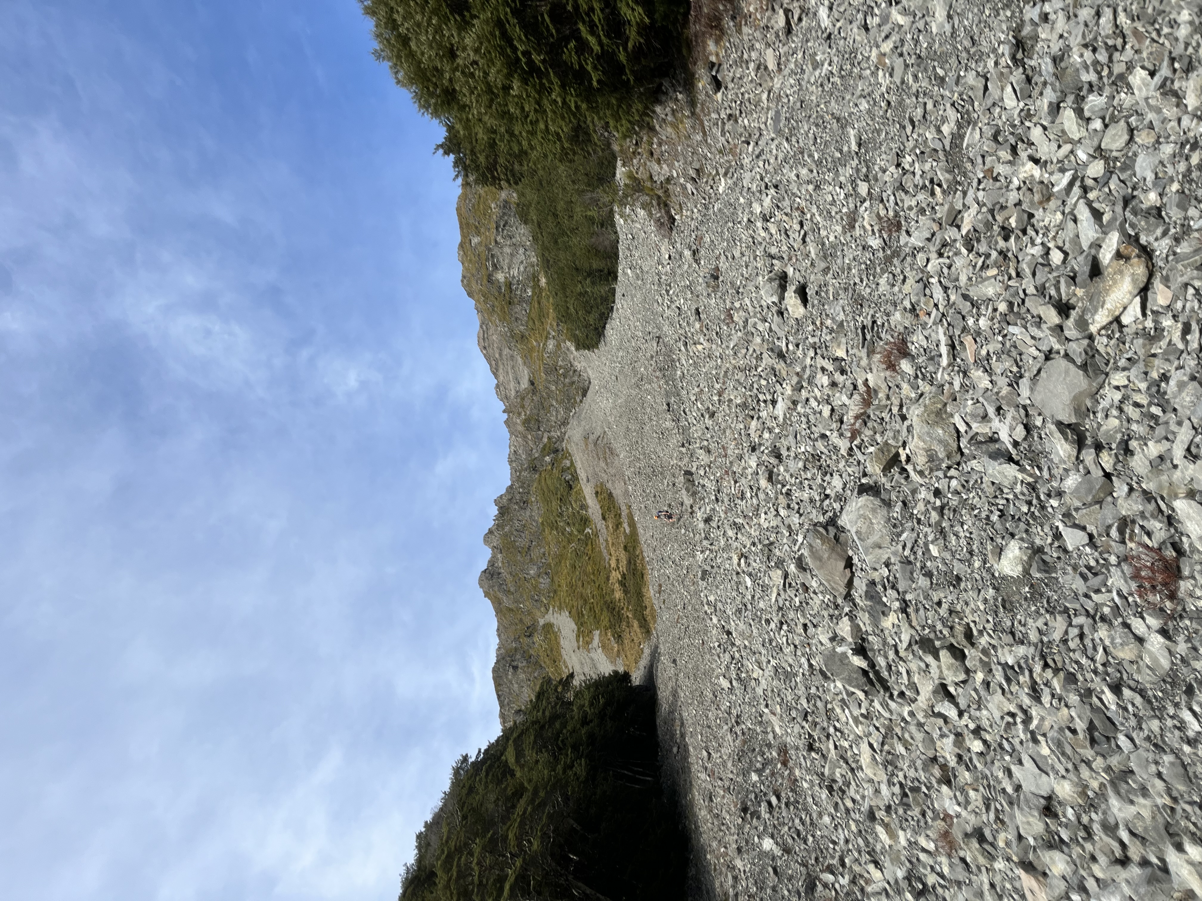 Name:  IMG_0843.jpeg
Views: 1775
Size:  3.90 MB