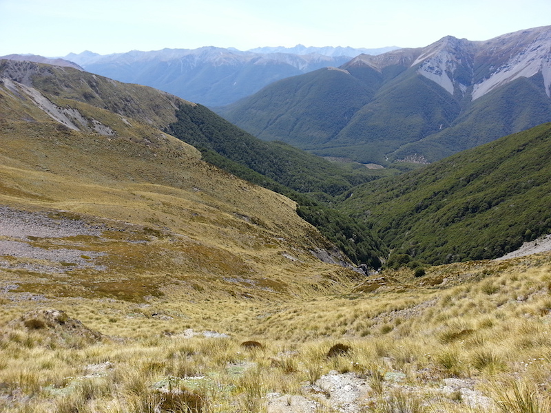 Name:  Cham Basin APNP 800.jpeg
Views: 1248
Size:  304.1 KB