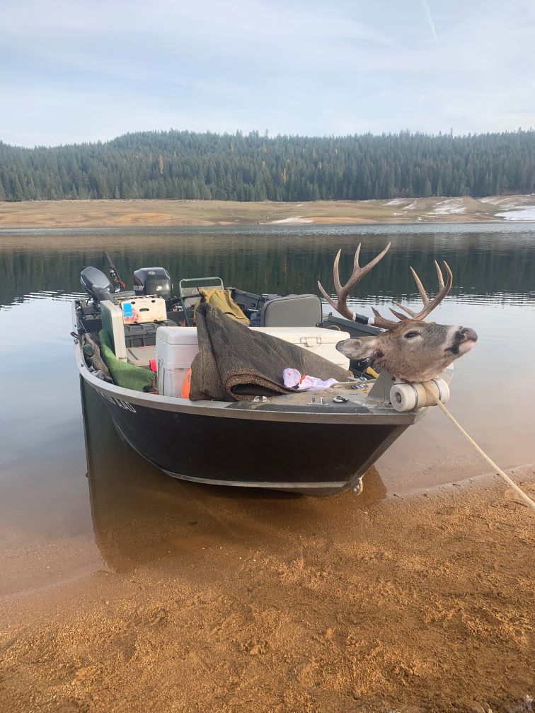 Name:  idaho2.jpg
Views: 432
Size:  140.1 KB