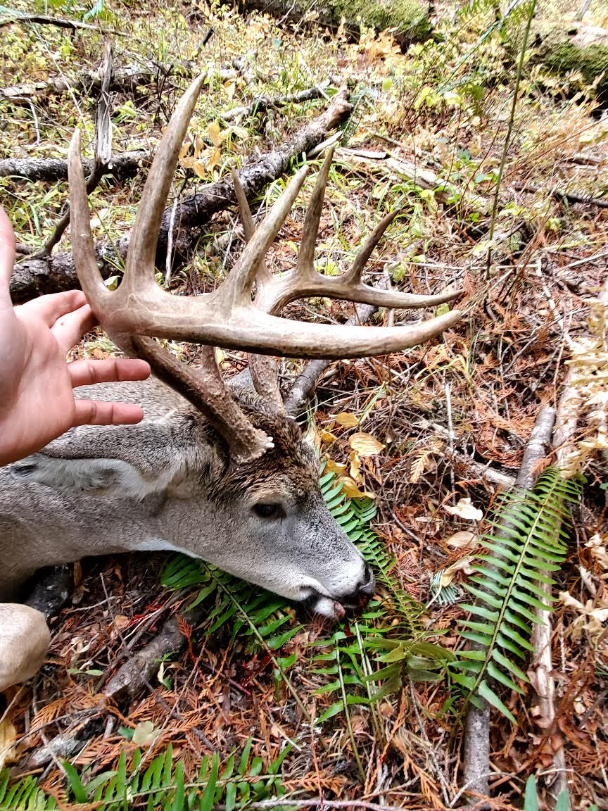 Name:  idaho8.jpg
Views: 437
Size:  338.5 KB