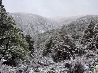 Name:  snow051.jpeg
Views: 572
Size:  39.9 KB