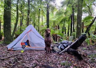 Name:  Tent.jpg
Views: 210
Size:  44.8 KB