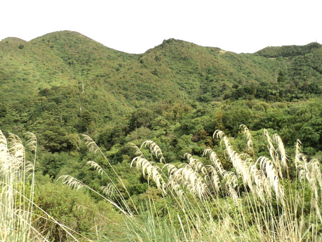 Name:  picture 3519.jpg
Views: 987
Size:  163.8 KB