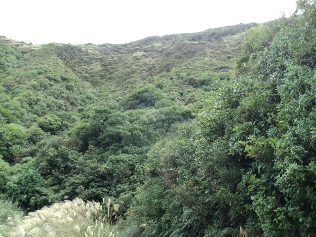 Name:  picture 3520.jpg
Views: 984
Size:  164.7 KB
