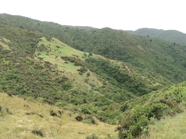 Name:  picture 3522.jpg
Views: 983
Size:  163.6 KB