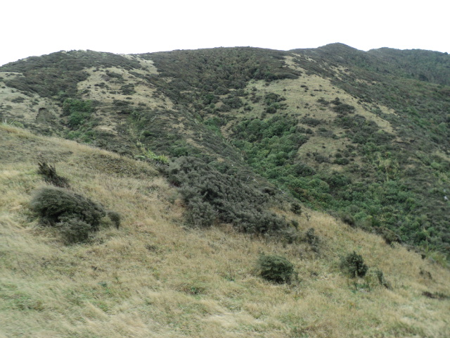 Name:  picture 3523.jpg
Views: 962
Size:  165.3 KB