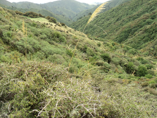 Name:  picture 3525.jpg
Views: 956
Size:  164.9 KB