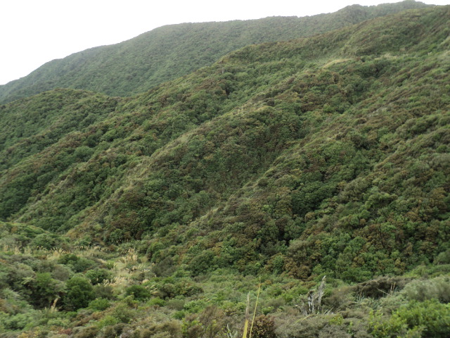 Name:  picture 3526.jpg
Views: 1133
Size:  163.6 KB