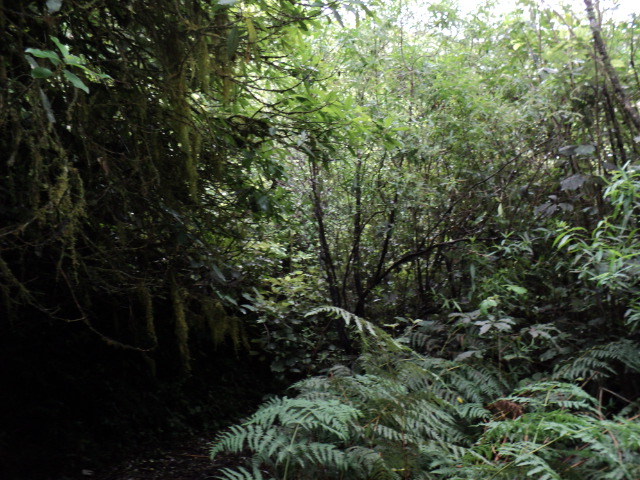 Name:  picture 3529.jpg
Views: 1022
Size:  164.6 KB