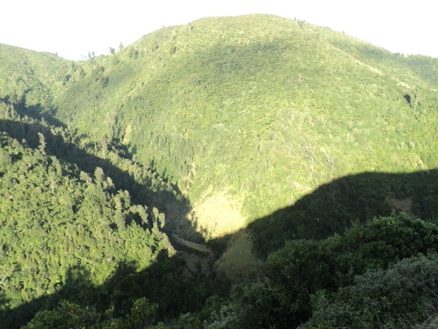 Name:  picture 3571.jpg
Views: 297
Size:  163.8 KB
