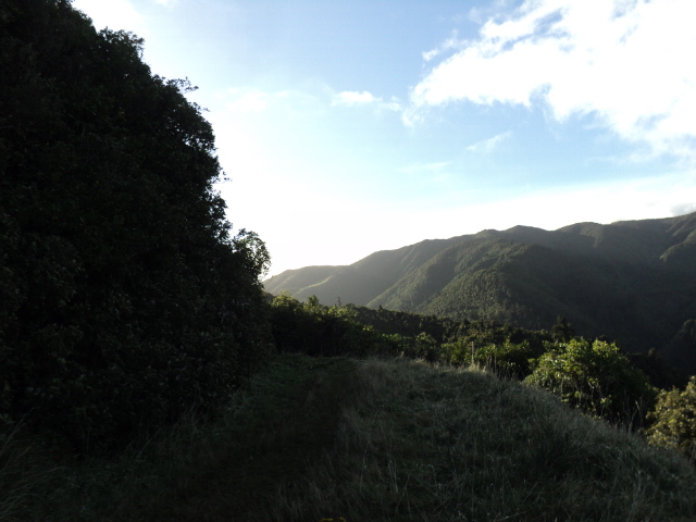 Name:  picture 3572.jpg
Views: 275
Size:  161.6 KB