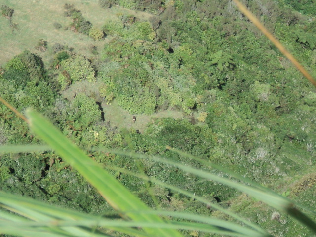 Name:  picture 3577.jpg
Views: 271
Size:  162.6 KB