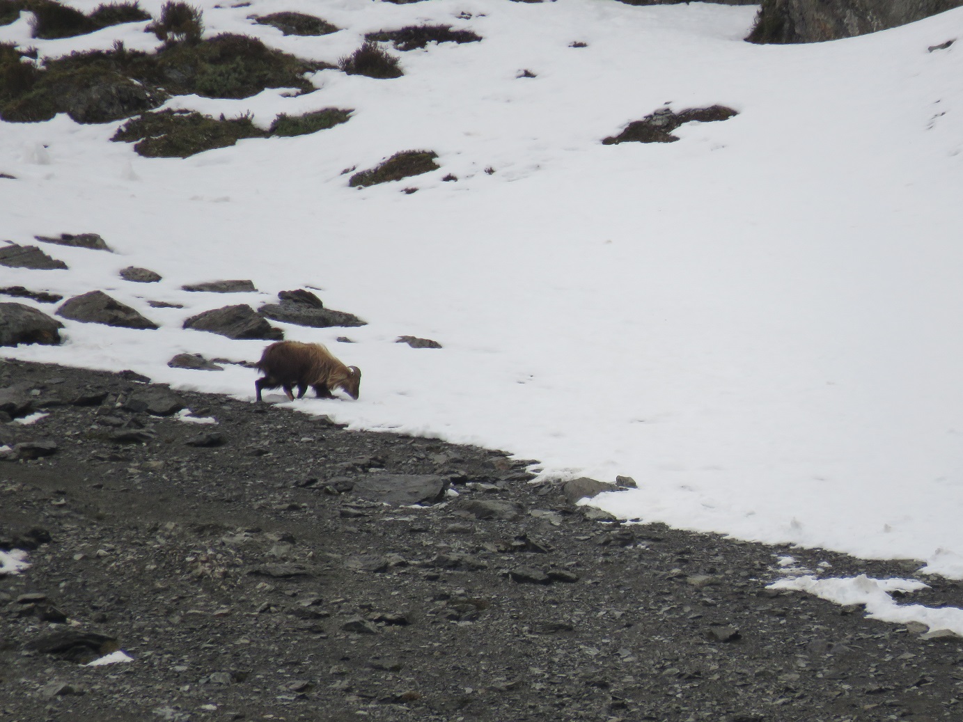 Name:  IMG_9514.JPG
Views: 583
Size:  411.8 KB