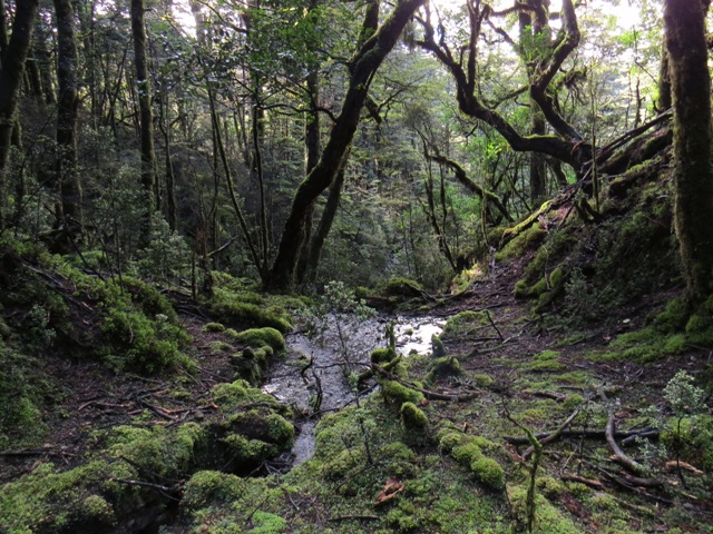 Name:  IMG_0416.JPG
Views: 526
Size:  177.4 KB