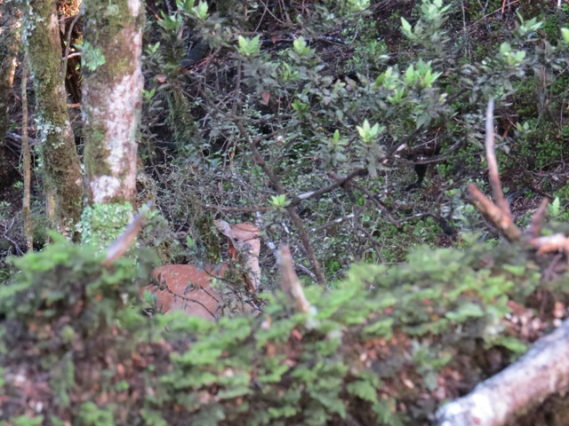 Name:  IMG_0466.JPG
Views: 552
Size:  144.3 KB