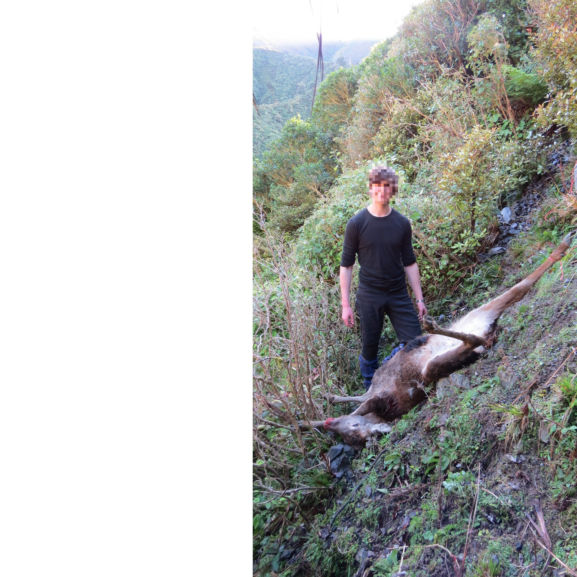 Name:  big_bear with deer.jpg
Views: 487
Size:  901.5 KB