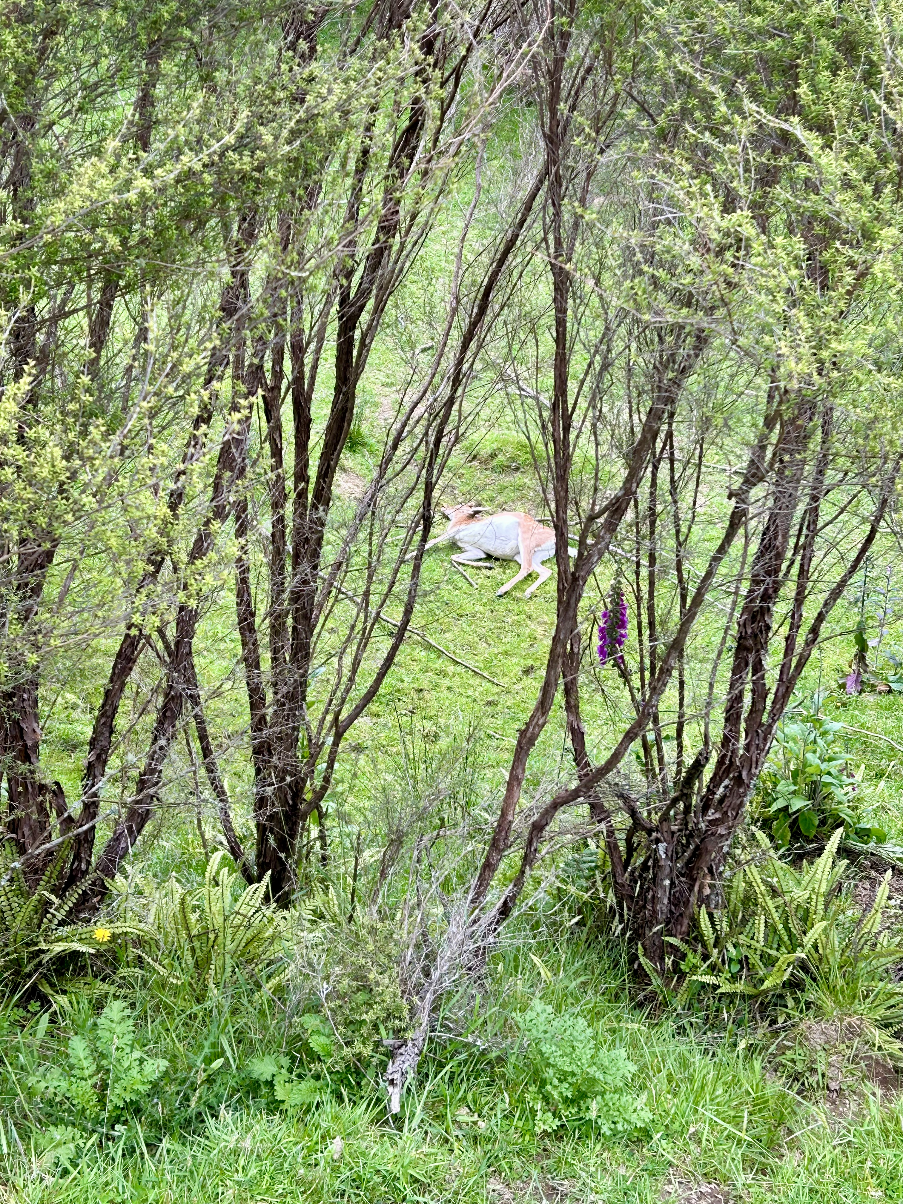 Name:  IMG_9104.jpeg
Views: 1182
Size:  6.12 MB