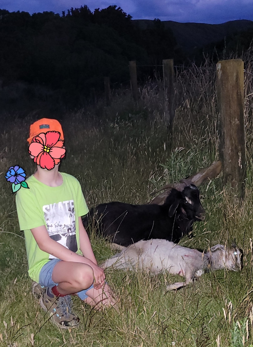 Name:  2 billies cropped.jpg
Views: 599
Size:  712.5 KB
