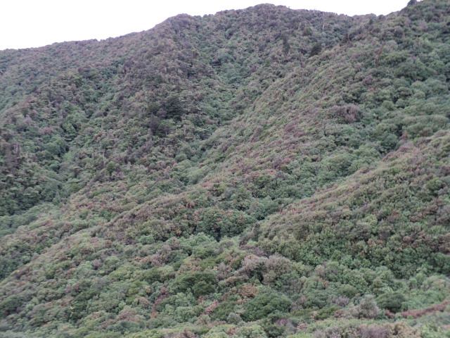 Name:  picture 3717.jpg
Views: 277
Size:  164.5 KB