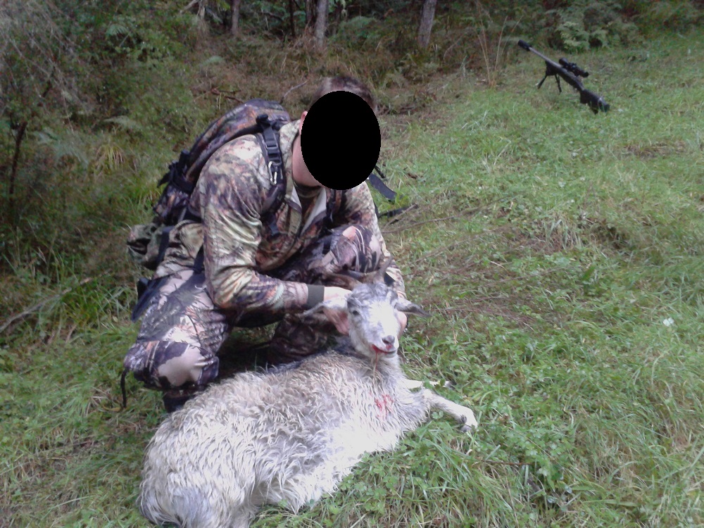 Name:  first goat.jpg
Views: 602
Size:  335.3 KB