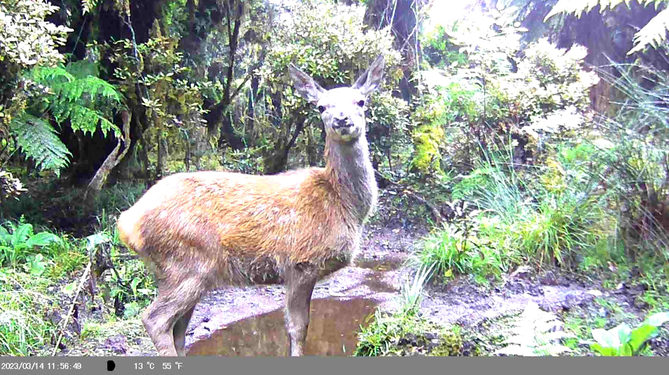 Name:  Capture.JPG
Views: 385
Size:  603.6 KB