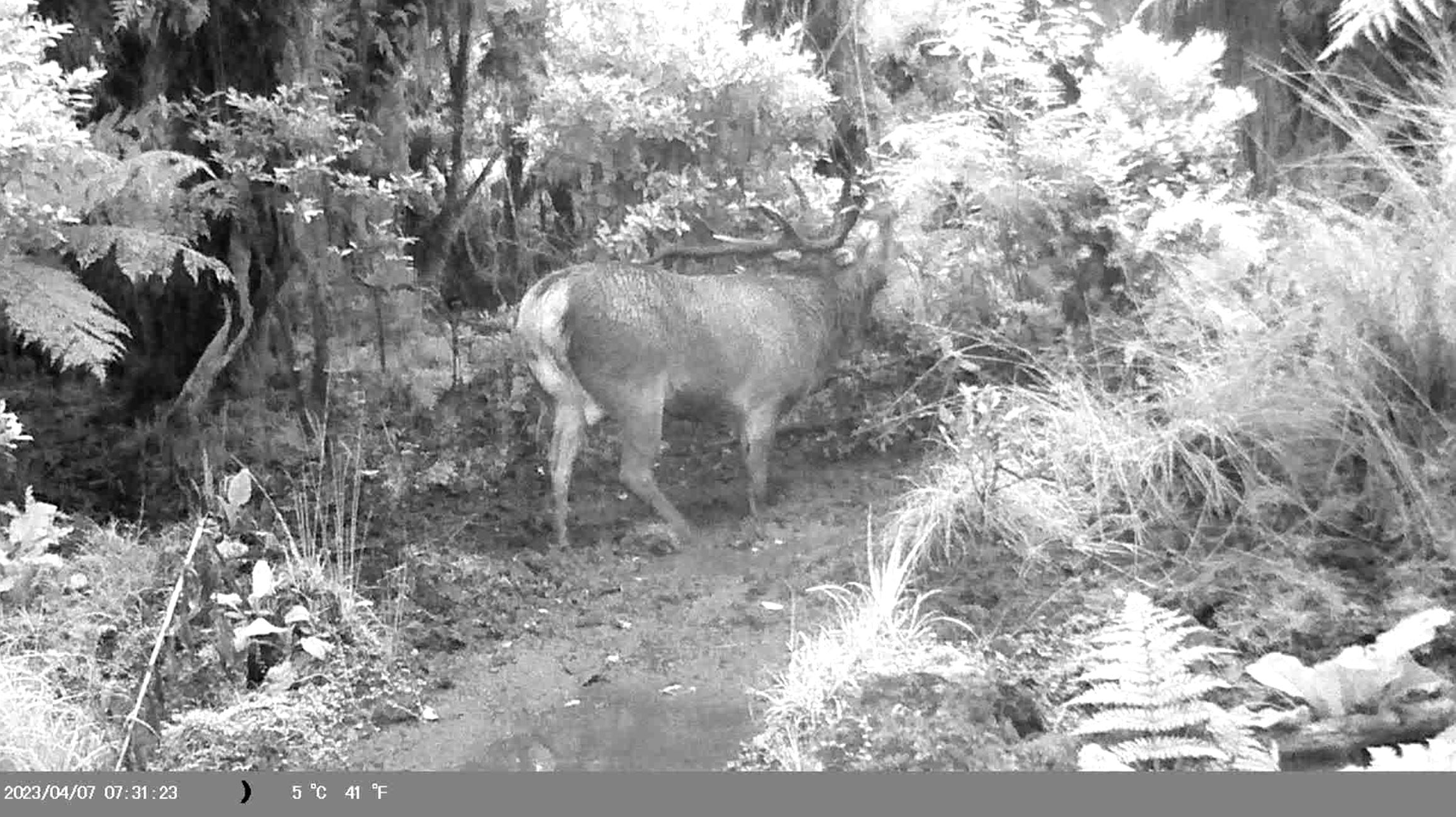 Name:  Capture8.JPG
Views: 383
Size:  480.9 KB