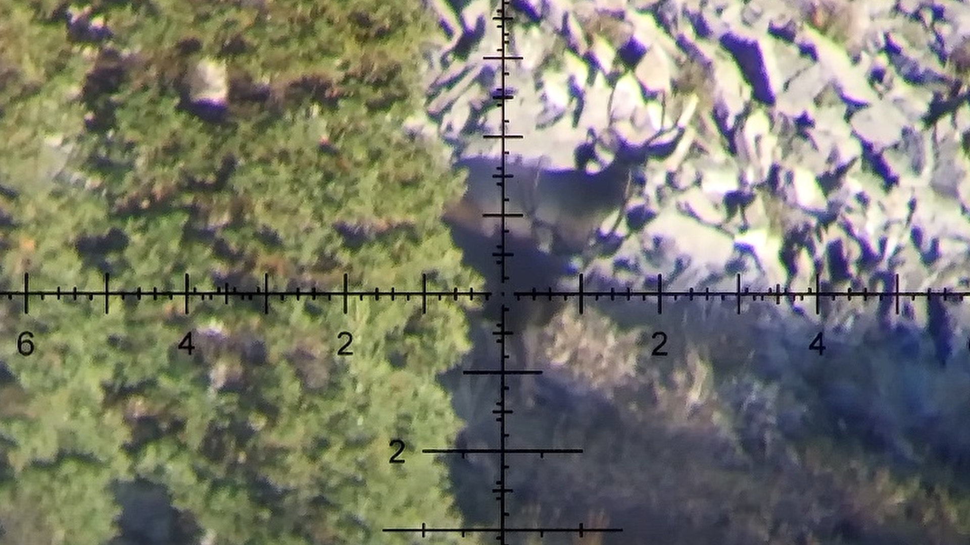 Name:  muledeer ret_2.1.1.jpg
Views: 918
Size:  1.07 MB