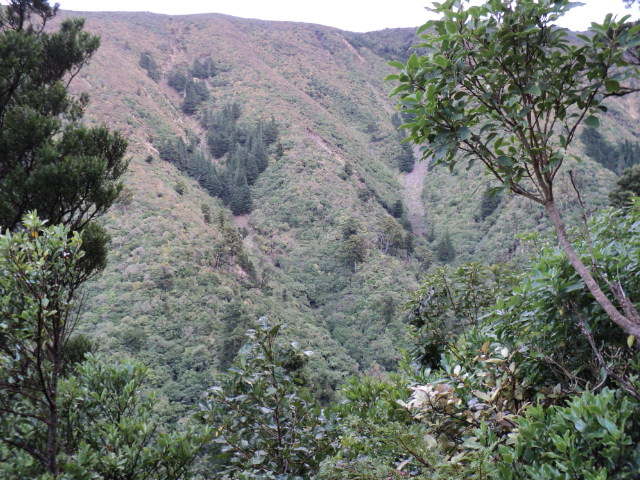 Name:  picture 3962.jpg
Views: 194
Size:  165.2 KB